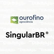 SingularBR - 0